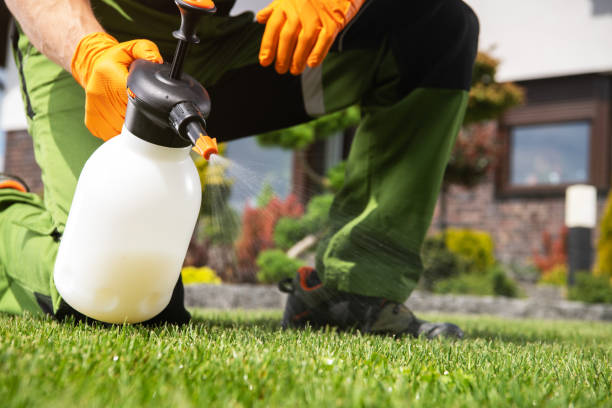 Best Affordable Pest Control Services  in Corcoran, MN