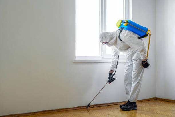 Best Affordable Pest Control Services  in Corcoran, MN