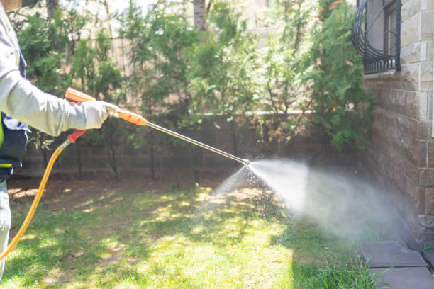 Best Pest Removal Services  in Corcoran, MN